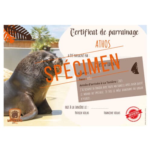 La taniere, zoo, refuge, parc animalier, cadeau, adulte, enfant, bébé, certificat, parrainage, animaux, noël, anniversaire, otarie, lion de mer