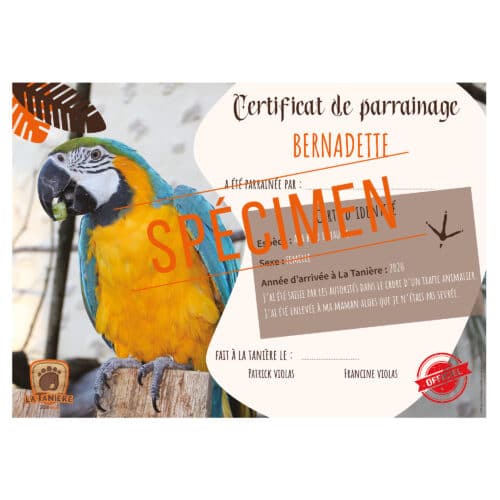 La taniere, zoo, refuge, parc animalier, cadeau, adulte, enfant, bébé, certificat, parrainage, animaux, noël, anniversaire, oiseau, ara