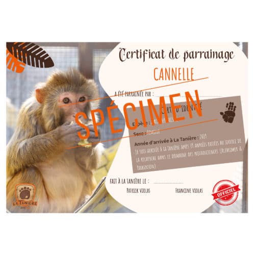 La taniere, zoo, refuge, parc animalier, cadeau, adulte, enfant, bébé, certificat, parrainage, animaux, noël, anniversaire, singe, macaque de laboratoire