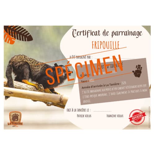 La taniere, zoo, refuge, parc animalier, cadeau, adulte, enfant, bébé, certificat, parrainage, animaux, noël, anniversaire, singe, tamarin