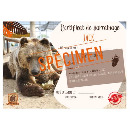 La taniere, zoo, refuge, parc animalier, cadeau, adulte, enfant, bébé, certificat, parrainage, animaux, noël, anniversaire, ours