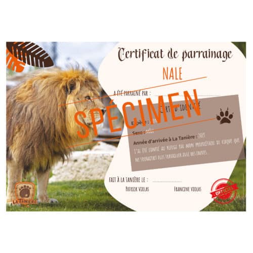 La taniere, zoo, refuge, parc animalier, cadeau, adulte, enfant, bébé, certificat, parrainage, animaux, noël, anniversaire, lion