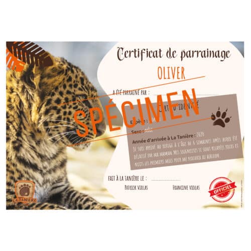 La taniere, zoo, refuge, parc animalier, cadeau, adulte, enfant, bébé, certificat, parrainage, animaux, noël, anniversaire, léopard