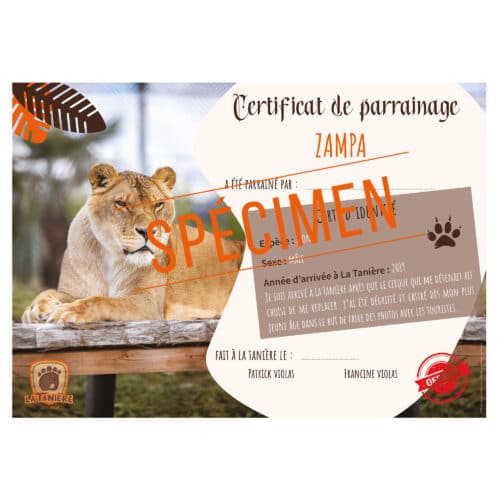 La taniere, zoo, refuge, parc animalier, cadeau, adulte, enfant, bébé, certificat, parrainage, animaux, noël, anniversaire, fauve, lion