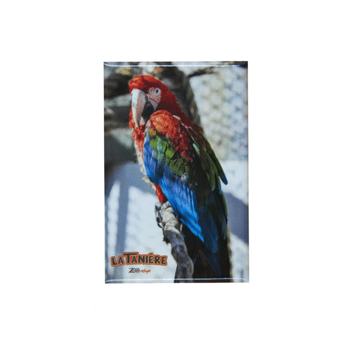 La taniere, zoo, refuge, zoo refuge, parc animalier, Chartres, Eure et Loir, Eure-et-Loir, Centre Val de Loire, Centre Val-de-Loire, cadeau, souvenir, magnet, oiseau, ara