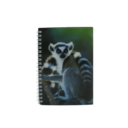 La taniere, zoo, refuge, zoo refuge, parc animalier, Chartres, Eure et Loir, Eure-et-Loir, Centre Val de Loire, Centre Val-de-Loire, cadeau, papeterie, carnet, primate, singe, maki catta, lémurien