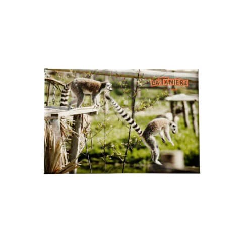 La Tanière, zoo, refuge, parc animalier, Chartres, Eure et Loir, cadeau, maison, magnet, souvenir, aimanté, lémurien