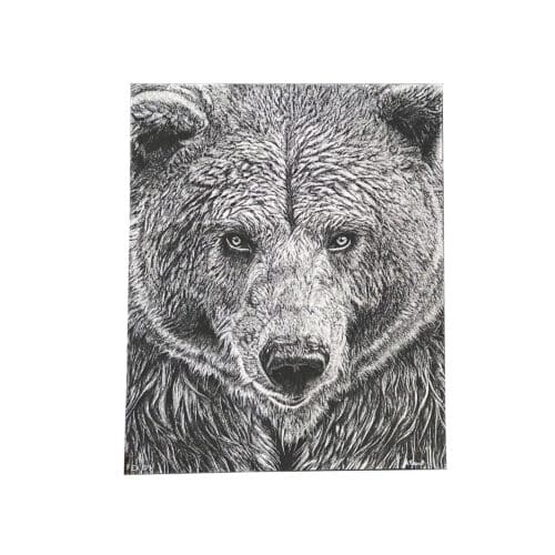 La Tanière, zoo, refuge, parc animalier, Chartres, Eure et Loir, cadeau, maison, art, souvenir, artiste, art graphique, dessin, ours