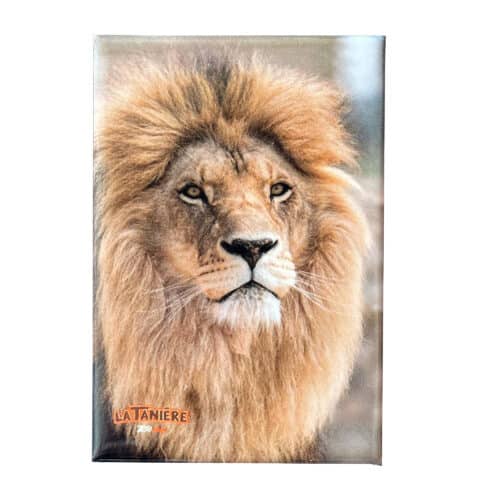 La Tanière, zoo, refuge, parc animalier, Chartres, Eure et Loir, cadeau, maison, magnet, souvenir, aimanté, fauve, lion