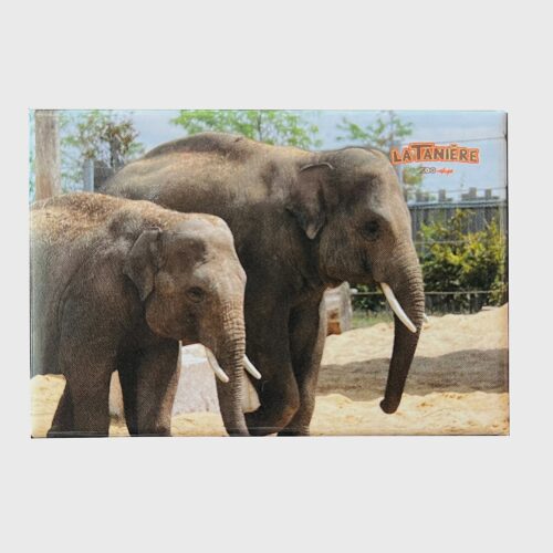 La Tanière, zoo, refuge, parc animalier, Chartres, Eure et Loir, cadeau, maison, magnet, souvenir, aimanté, éléphant