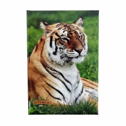 La Tanière, zoo, refuge, parc animalier, Chartres, Eure et Loir, cadeau, maison, magnet, souvenir, aimanté, tigre