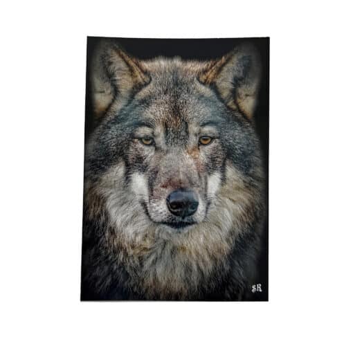 La Tanière, zoo, refuge, parc animalier, Chartres, Eure et Loir, souvenir, carte postale, cadeau, maison, collection, animaux, loup