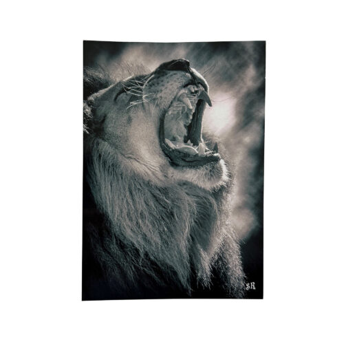 La Tanière, zoo, refuge, parc animalier, Chartres, Eure et Loir, souvenir, carte postale, cadeau, maison, collection, animaux, lion