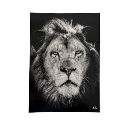 La Tanière, zoo, refuge, parc animalier, Chartres, Eure et Loir, souvenir, carte postale, cadeau, maison, collection, animaux, lion