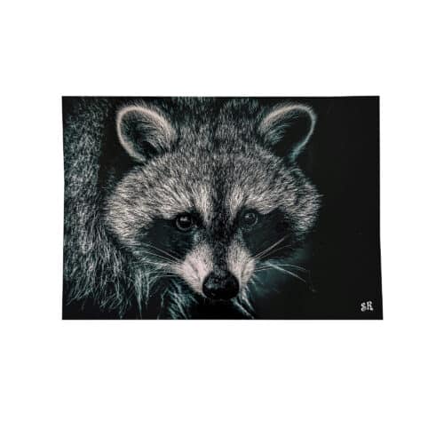 La Tanière, zoo, refuge, parc animalier, Chartres, Eure et Loir, souvenir, carte postale, cadeau, maison, collection, animaux, raton laveur