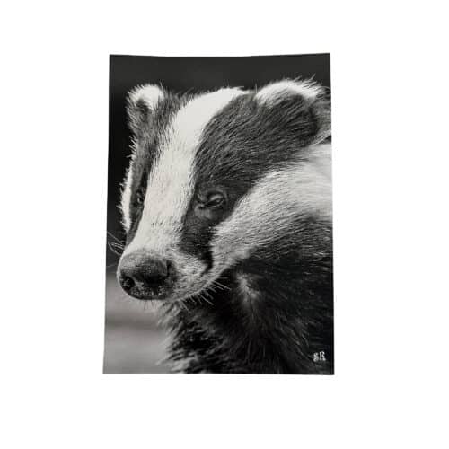 La Tanière, zoo, refuge, parc animalier, Chartres, Eure et Loir, souvenir, carte postale, cadeau, maison, collection, animaux, blaireau