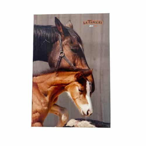 La Tanière, zoo, refuge, parc animalier, Chartres, Eure et Loir, cadeau, maison, magnet, souvenir, aimanté, chevaux, poulain
