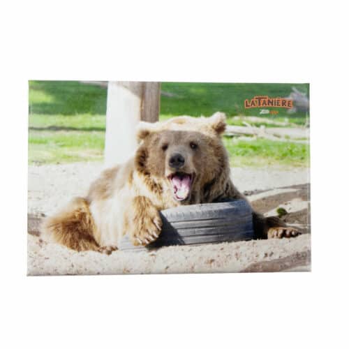 La Tanière, zoo, refuge, parc animalier, Chartres, Eure et Loir, cadeau, maison, magnet, souvenir, aimanté, ours