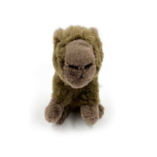 La Tanière, zoo, refuge, parc animalier, animaux, cadeau, jouet, enfant, bébé, peluche, noël, naissance, anniversaire, éthique, capybara