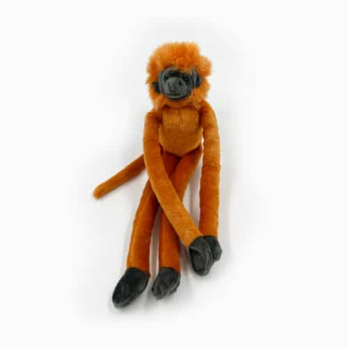 La Tanière, zoo, refuge, parc animalier, animaux, cadeau, jouet, enfant, bébé, peluche, noël, naissance, anniversaire, éthique, singe, tamarin